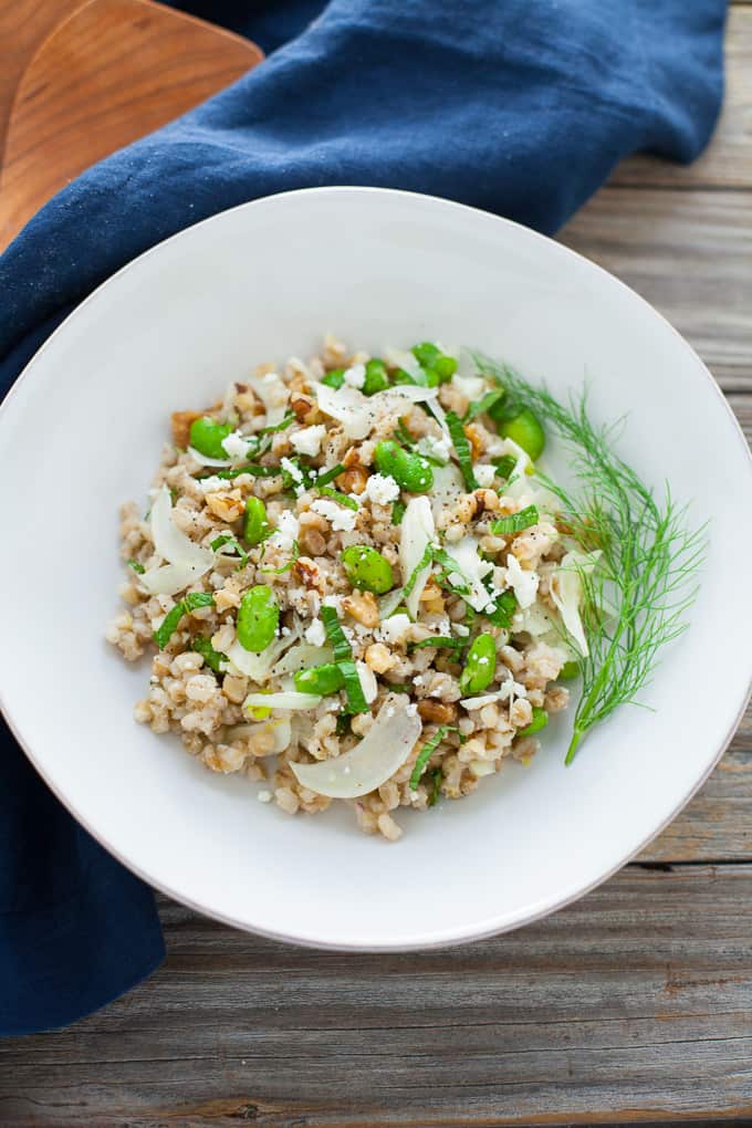 This spring grain salad with fava and fennel is made with toasted pearl barley and is chock full of refreshing seasonal produce and flavor. 