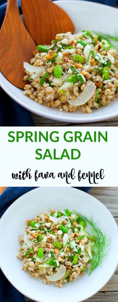This spring grain salad with fava and fennel is made with toasted pearl barley and is chock full of refreshing seasonal produce and flavor. 