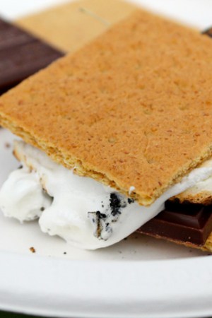 Blog Brulee campfire smores | The Foodie Dietitian @karalydon