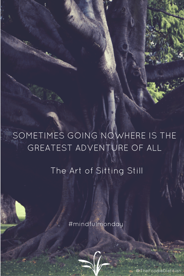 Perhaps the greatest adventure of all is going nowhere. In his Ted Talk, The Art of Stillness, Pico Iyer discusses how stillness can bring more clarity and insight to our accelerated living. | @TheFoodieDietitian