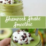 shamrock shake smoothie recipe
