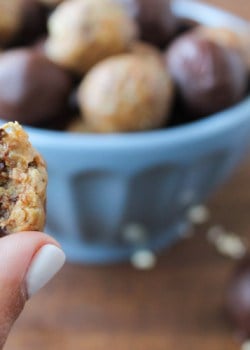 Dark Chocolate Peanut Butter Hemp Bites