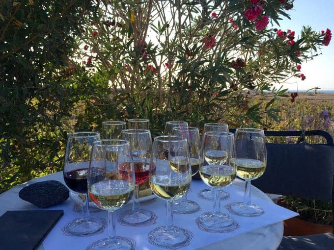 top 10 things to do on your honeymoon in greece. visit greek winery.
