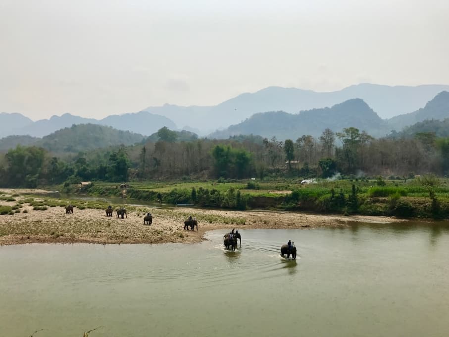 5 Days in Luang Prabang - Elephant Village