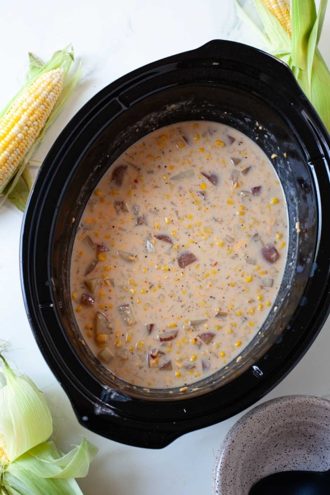 creamy potato corn chowder with cheddar cheese in black slow cooker with bowl and ears of corn