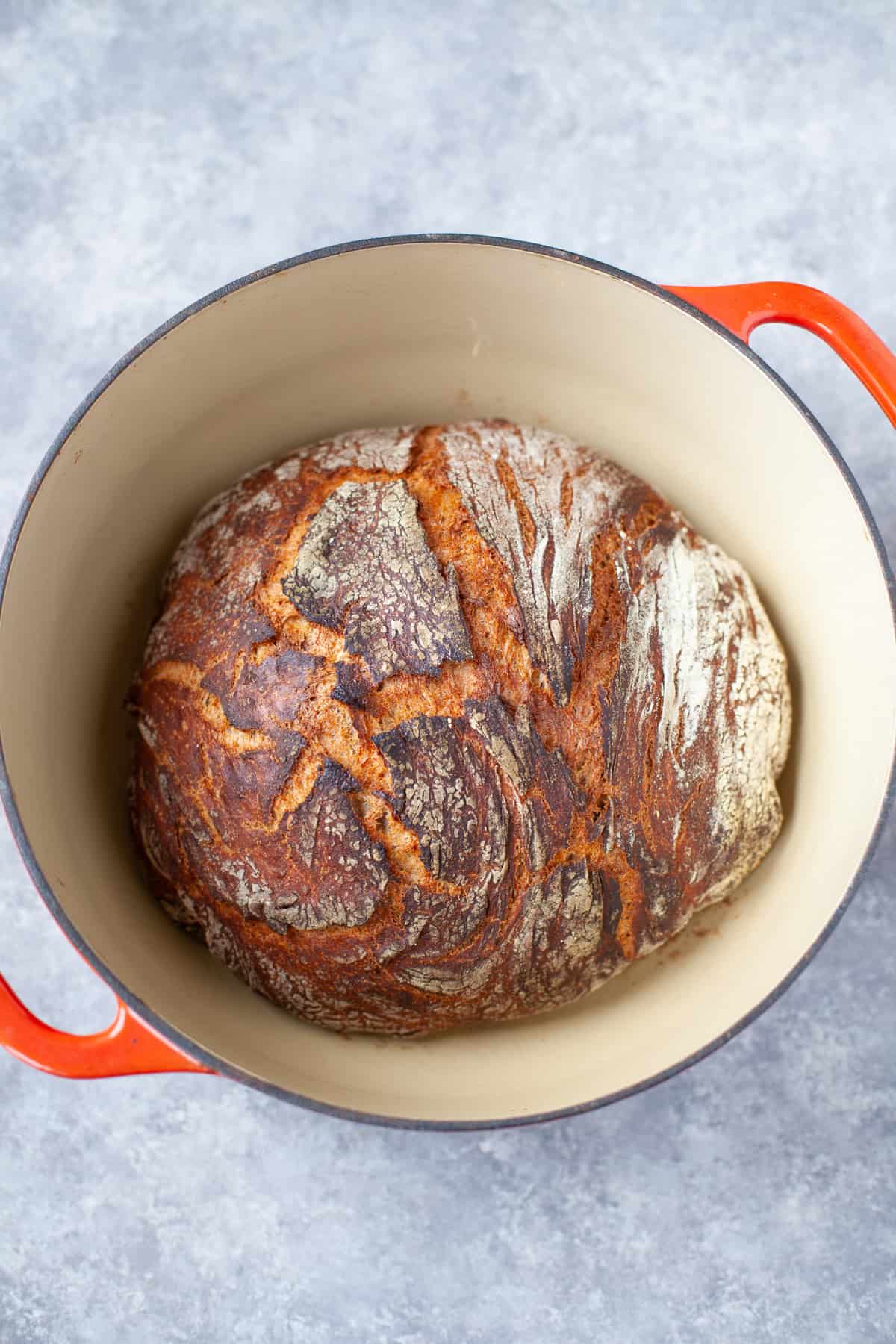 Instant Pot Whole Wheat Bread (No Knead!)