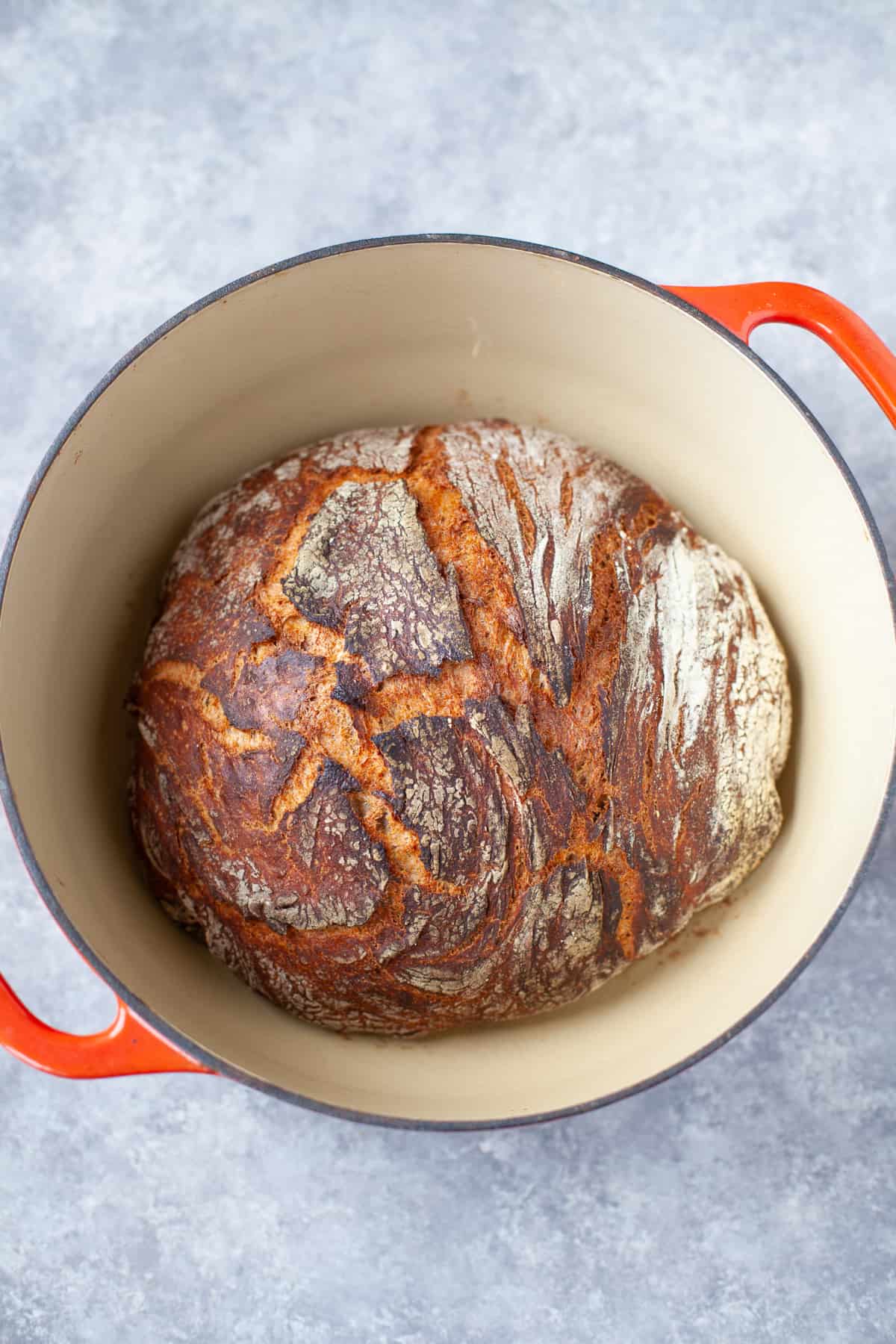 No-Knead Whole Wheat Dutch Oven Bread