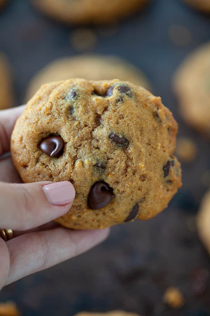 hand holding Gluten Free Pumpkin Chocolate Chip Cookie