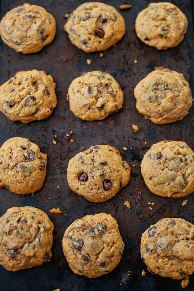 Gluten Free Pumpkin Chocolate Chip Cookie spread out on baking sheet