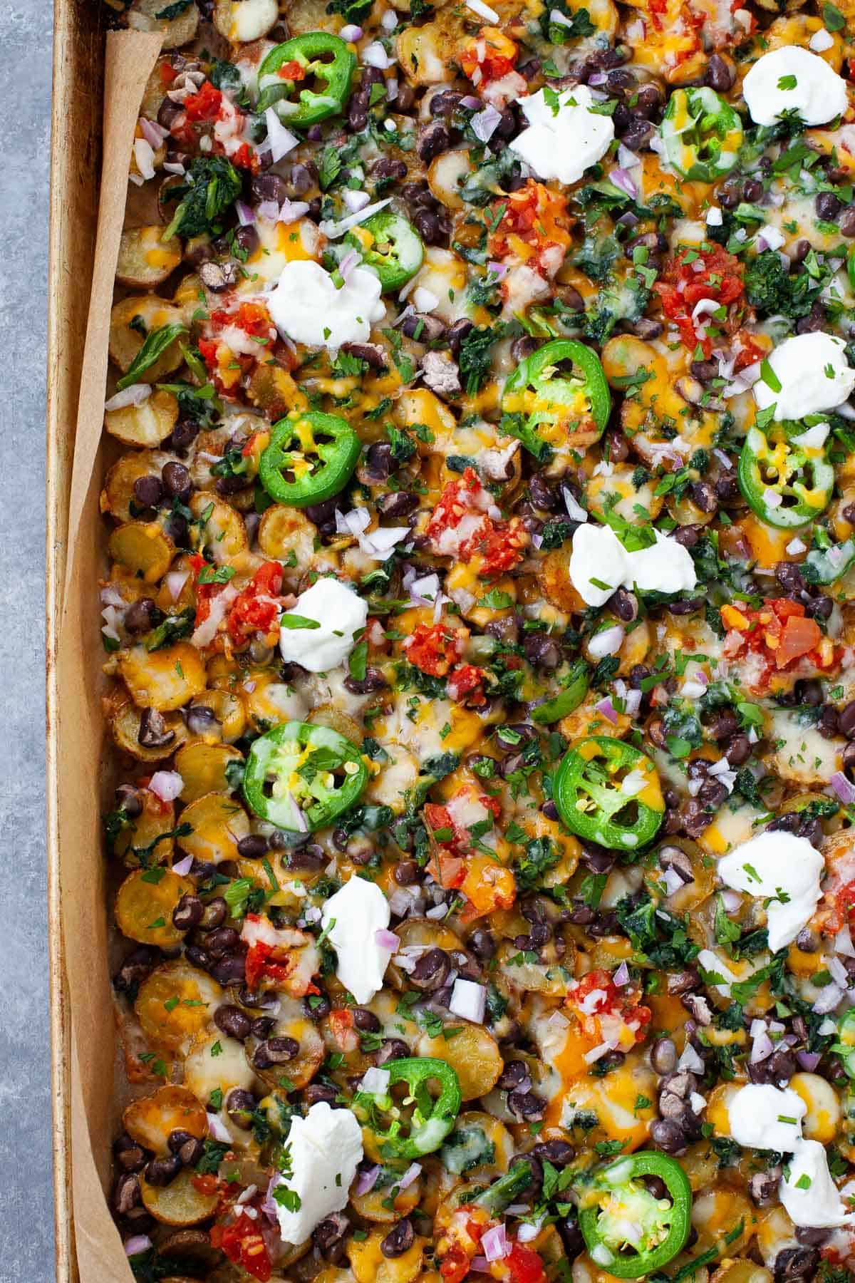 roasted potato nachos on a sheet pan with black beans, melted cheese, salsa, sour cream, cilantro, and jalapenos
