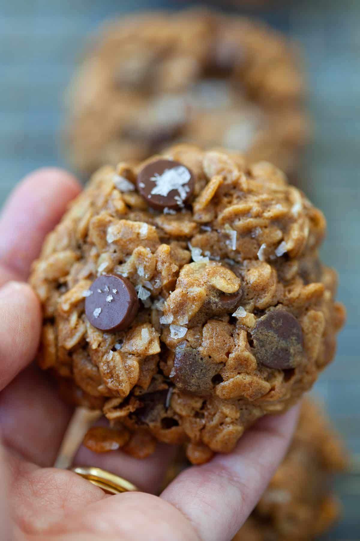 close up shot of hand holding a vegan peanut butter chocolate chip cookie with sea salt
