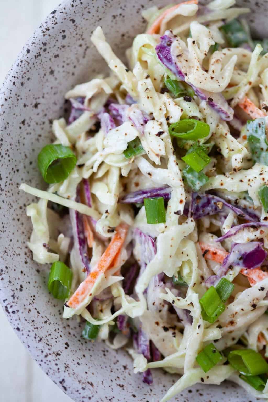 No Mayo Coleslaw (Made with Greek Yogurt) The Foodie Dietitian Kara