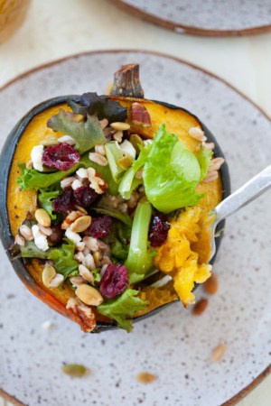 an acorn squash stuffed with baby springs, dried cranberries, goat cheese, pecans, and pepitas