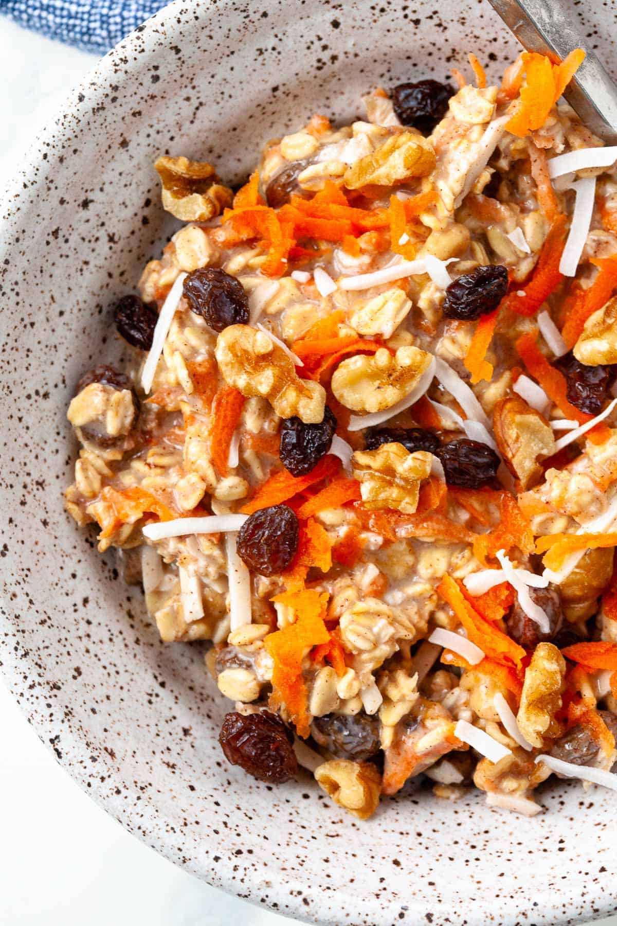 oatmeal close up, speckled bowl, raisins, coconut, and carrots on top