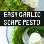 Garlic Scape Pesto | Kara Lydon