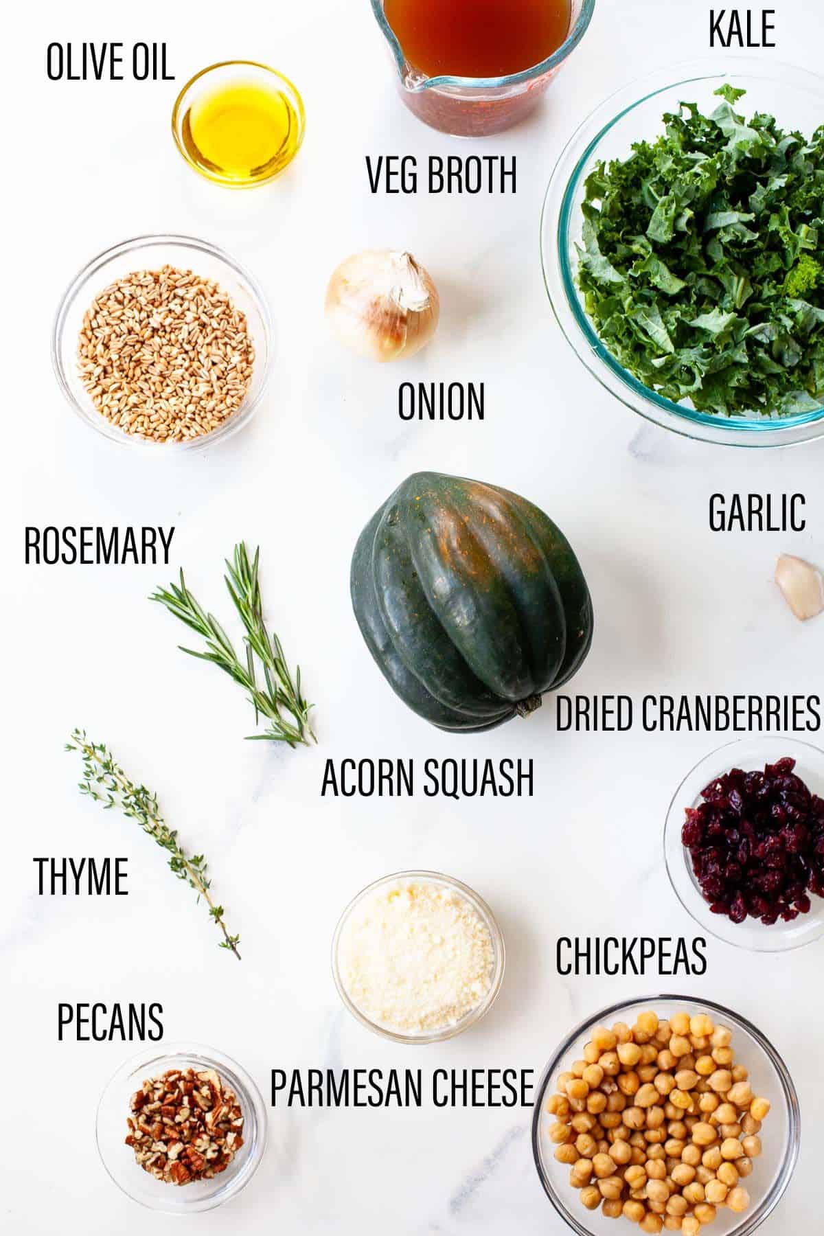 graphic ingredients for vegetarian stuffed acorn squash with text overlay