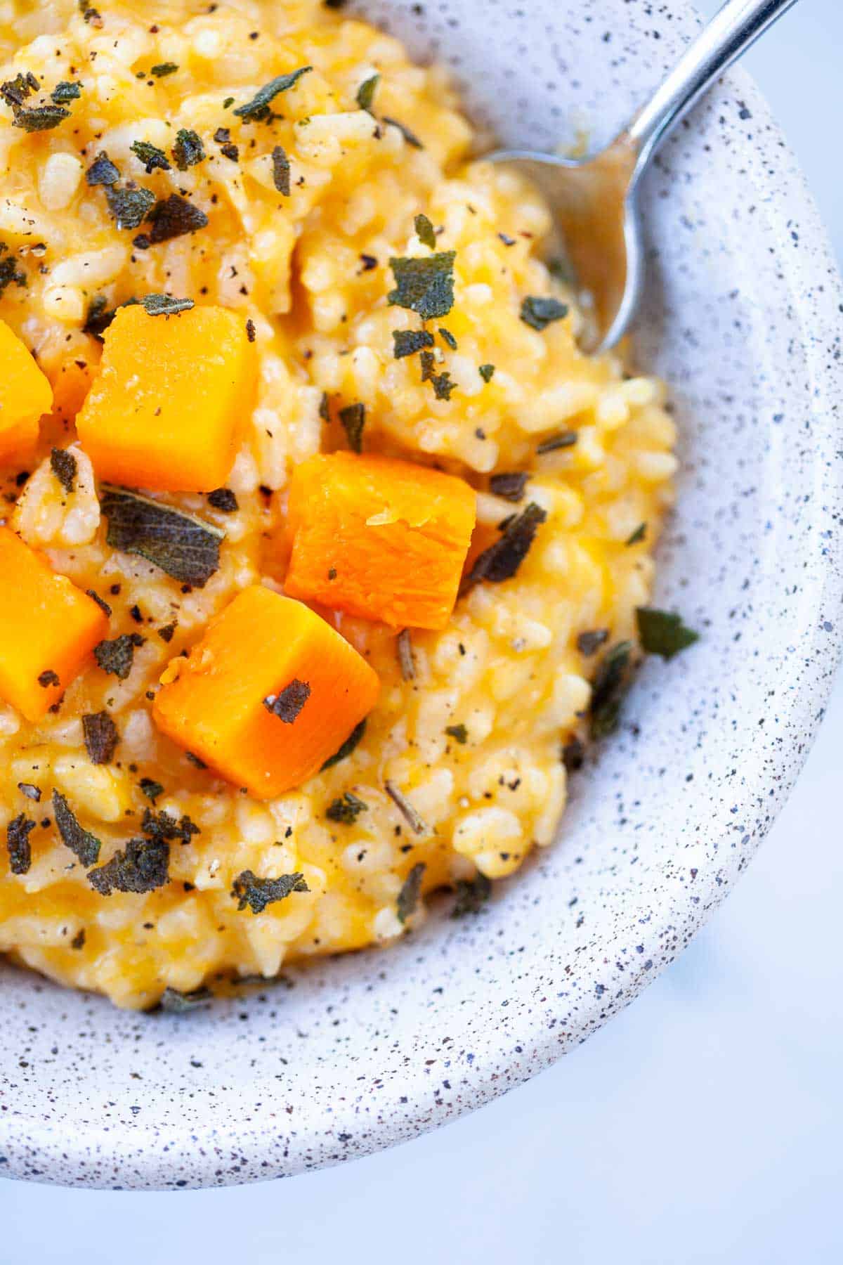 Instant pot butternut squash risotto sale