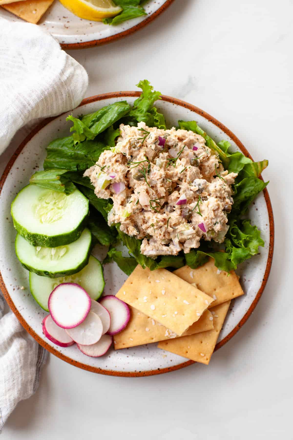 canned salmon salad on a bed of lettuce with cucumbers, radishes and crackers on a speckled plate